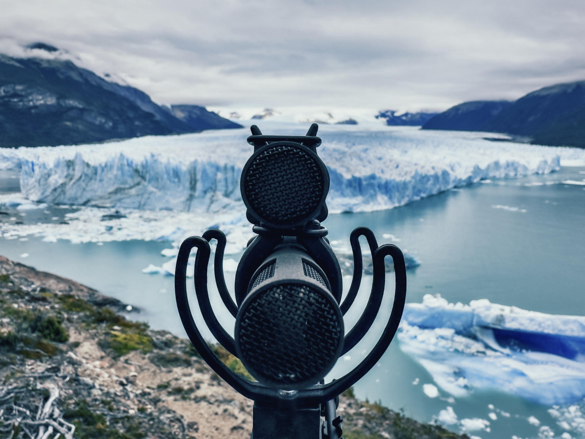 Beverly tried the new MKH 8030 in an MS configuration with the MKH 8040
(photo taken at Moreno Glacier) Beverly tried the new MKH 8030 in an MS configuration with the MKH 8040
(photo taken at Moreno Glacier)