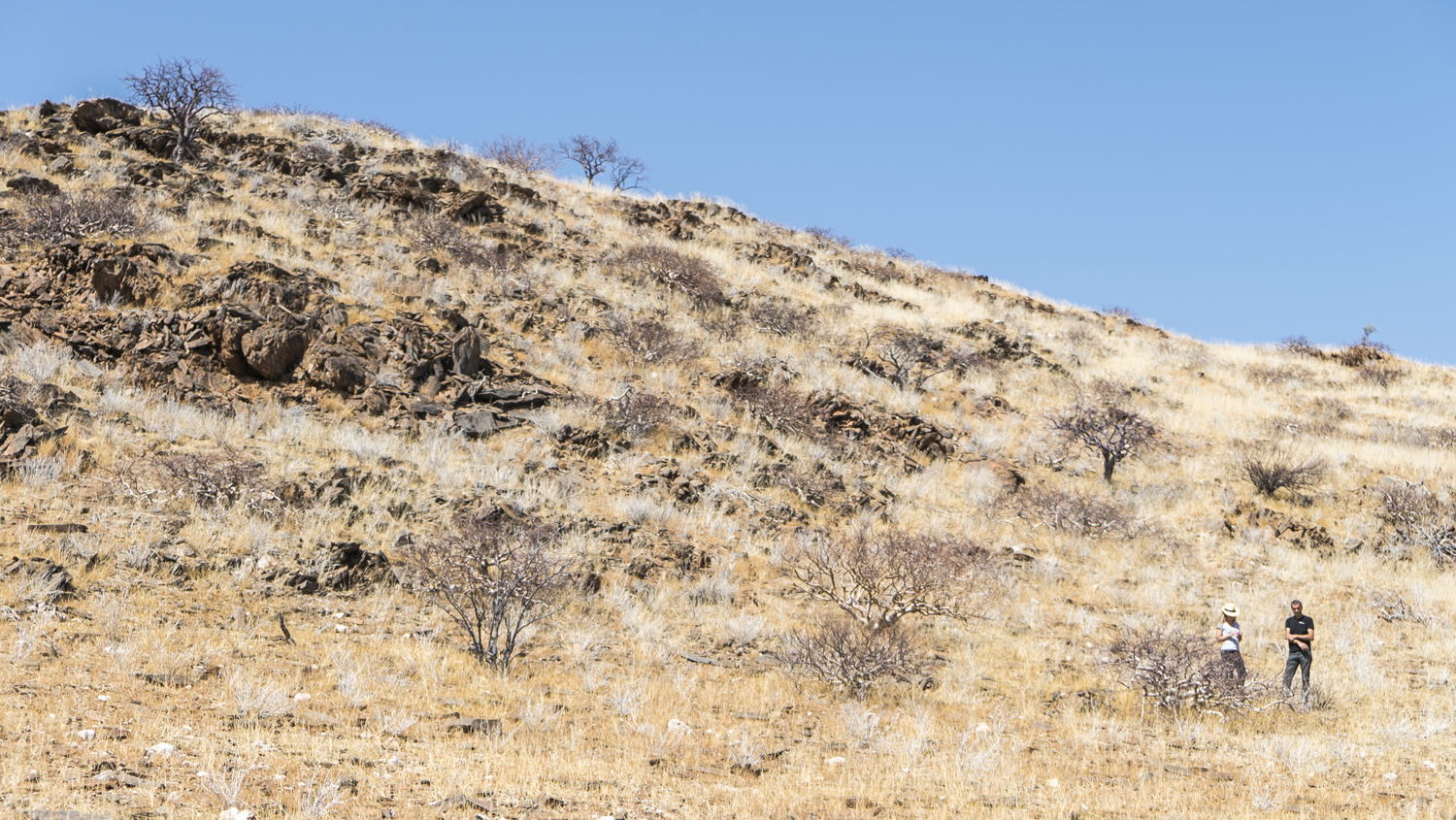 Namibia Inspiration