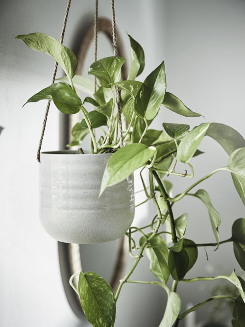 IKEA_KAPKRUSBÄR plant pot_2 €6,99