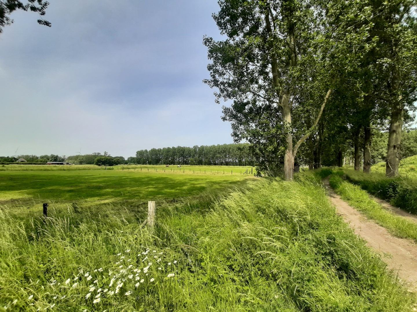 Zicht op het gebied Oostdonk