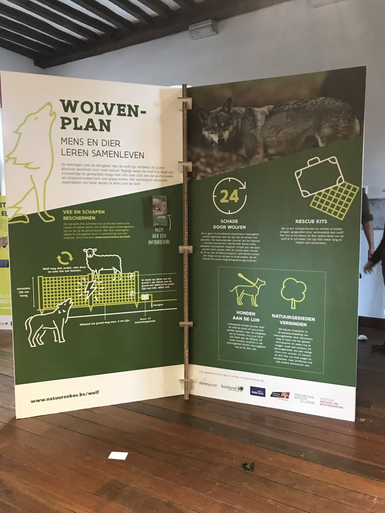 Expo 'Wolven in Limburg'