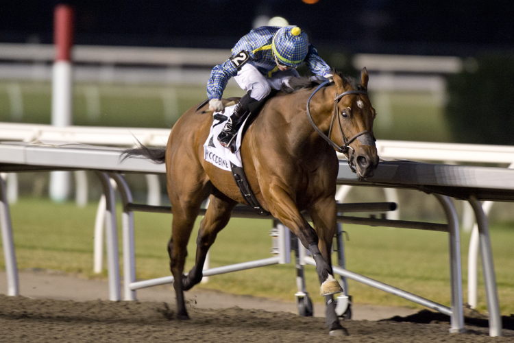 Flag of Honour (AUS) and jockey Kazushi Kimura winning the Kennedy Road Stakes on November 18, 2023 (Michael Burns Photo)