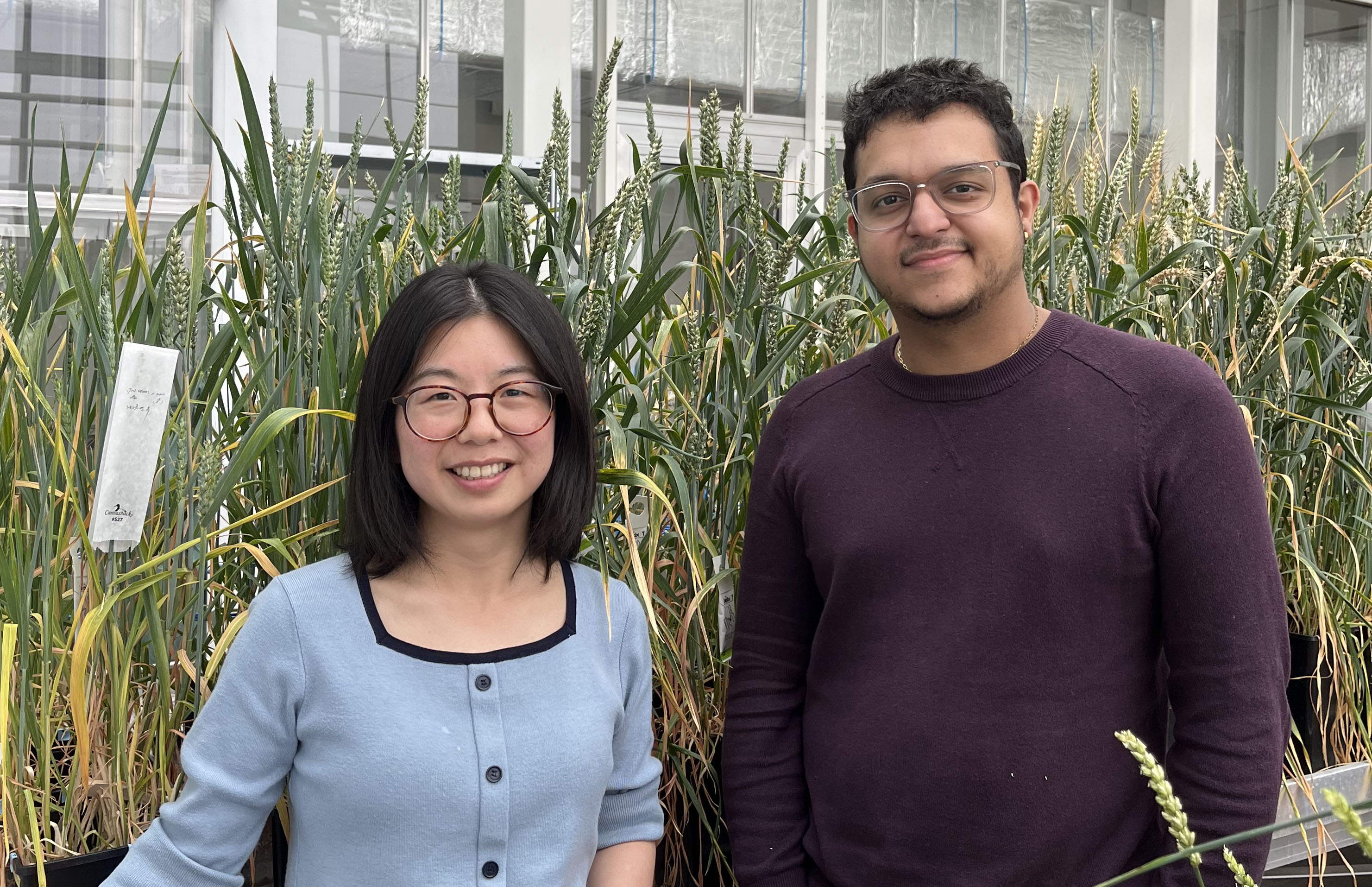 Postdoc Tingting Zhu (left) and PhD student Cássio Lima (right)