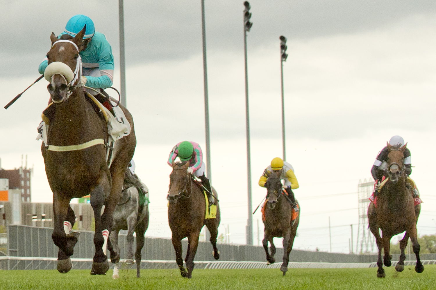Moira and jockey Rafael Hernandez winning the Canadian Stakes on September 9, 2023 at Woodbine (Michael Burns Photo)