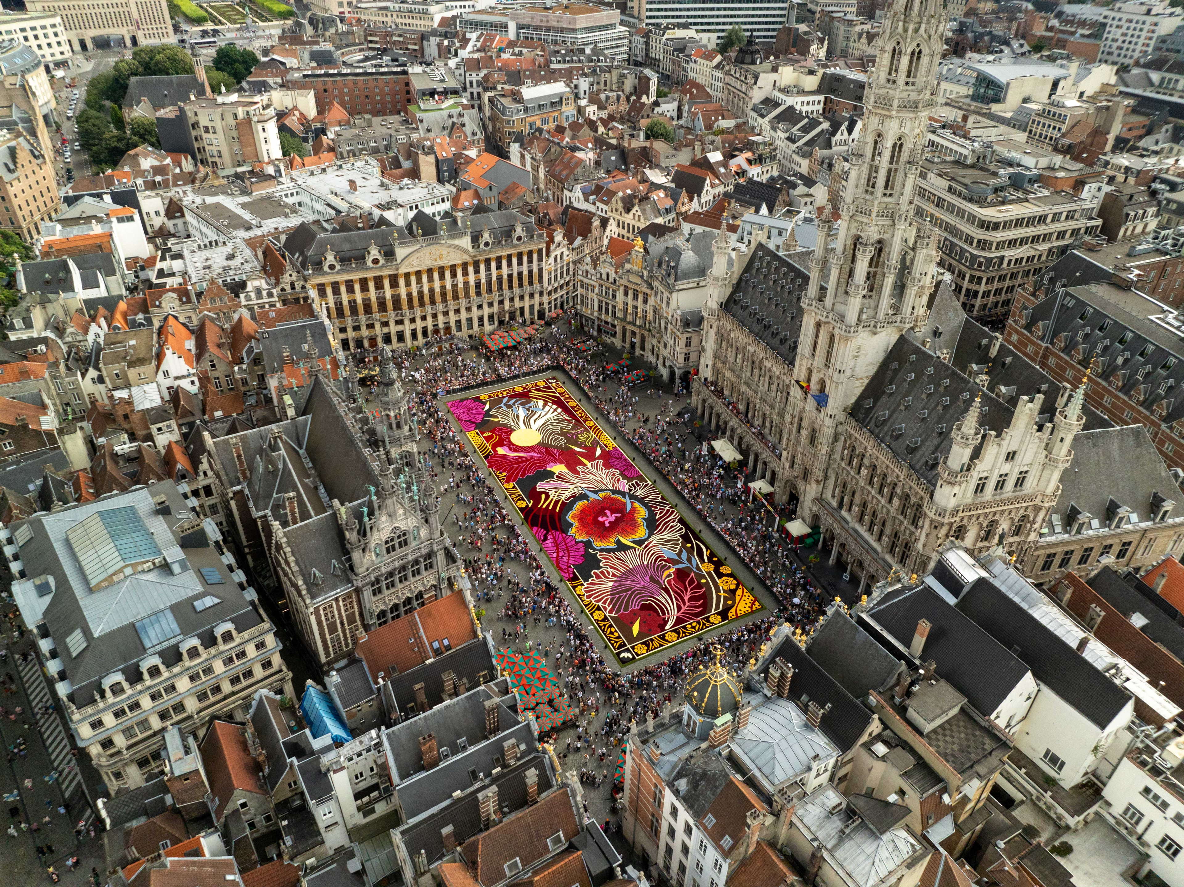 The Flower Carpet 2024 ends on the Grand-Place in Brussels