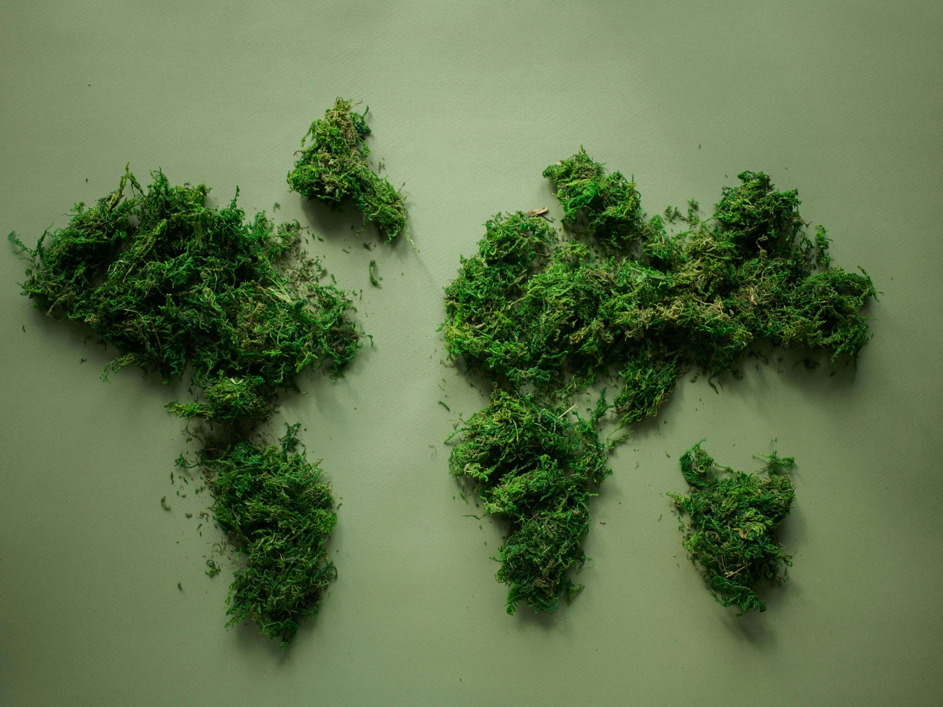 Más allá del check-in verde: 3 claves para que la hospitalidad comunique sostenibilidad auténtica  