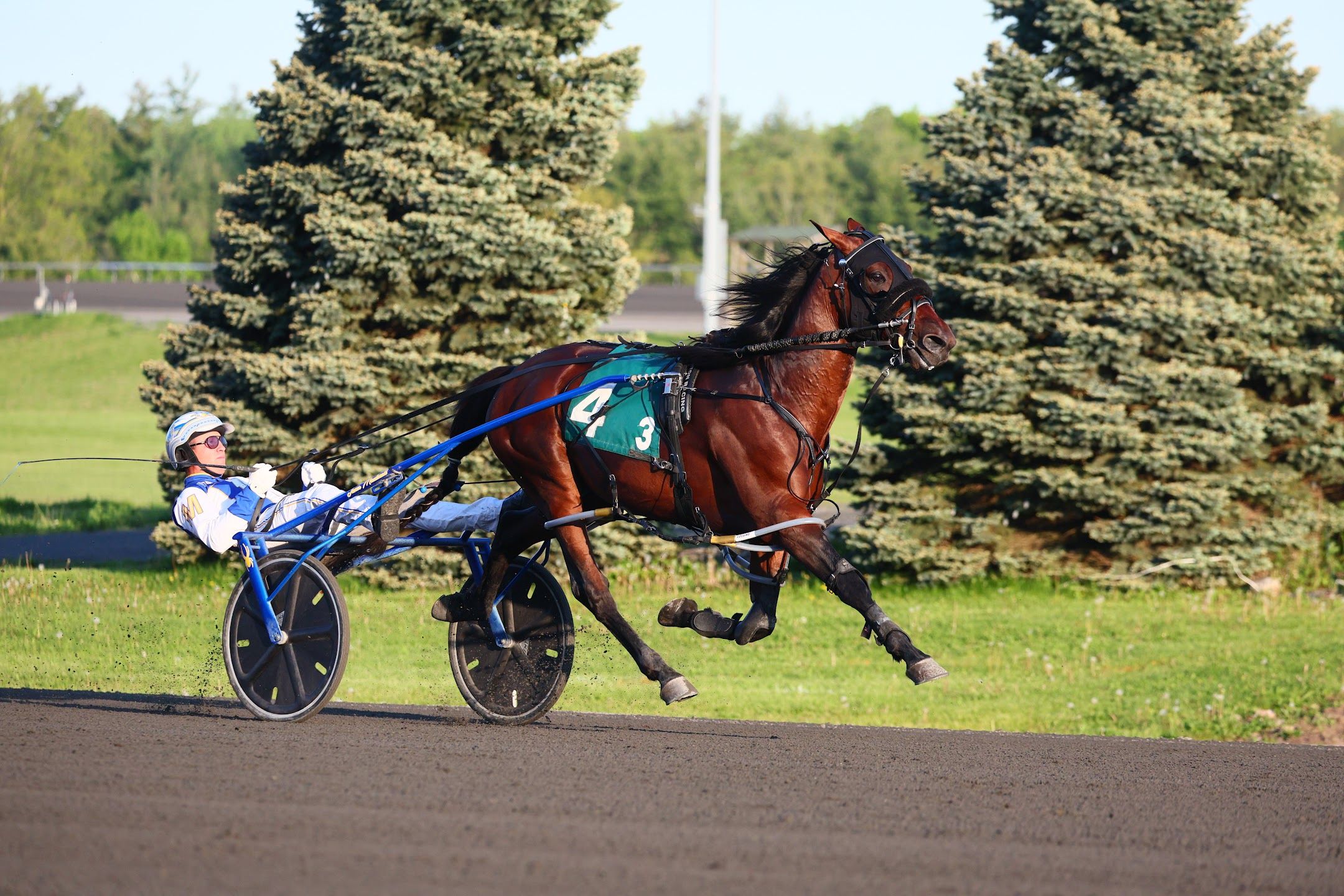 Legendary Hanover winning on May 18 at Woodbine Mohawk Park. (New Image Media)