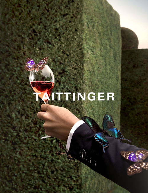 Taittinger - Lifestyle - Hide And Seek (4)