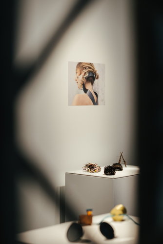© Renaat Nijs