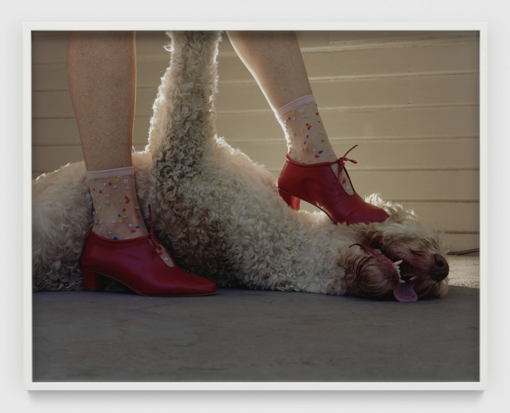 Torbjørn Rødland, Submissive Companion, 2022. Chromogenic print on Kodak Endura paper