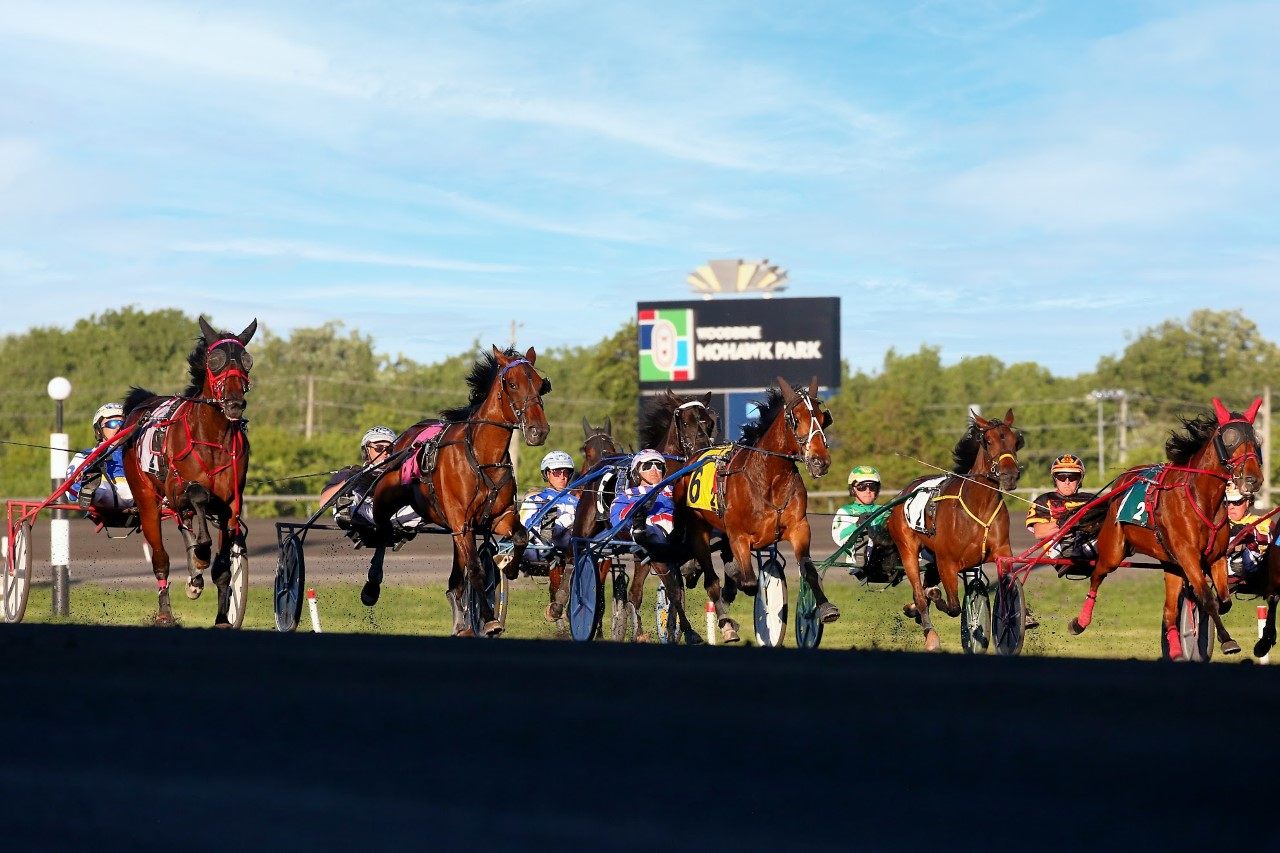Woodbine Mohawk Park (New Image Media)