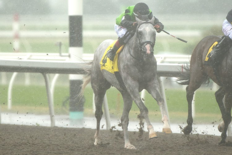 Tyson and jockey Rafael Hernandez winning the Dominion Day Stakes on July 1, 2023 at Woodbine (Michael Burns Photo)