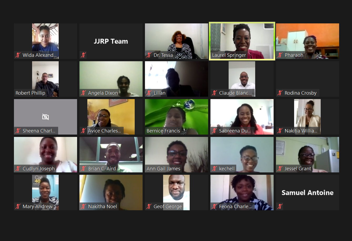  Justice sector officials from OECS countries participate in online training sessions funded by USAID and implemented by the OECS, to improve their ability to work with children in the justice system who have suffered trauma.
