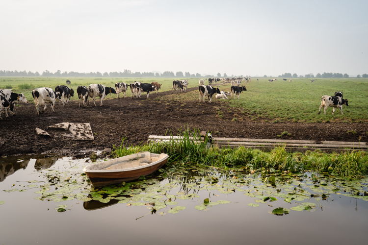 © Mooi Belicht Fotografie