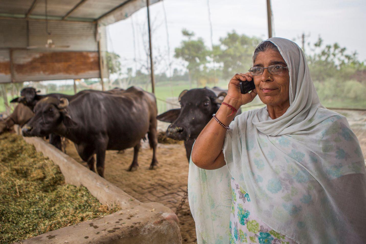 What do we know about the future of agrifood systems in South Asia?