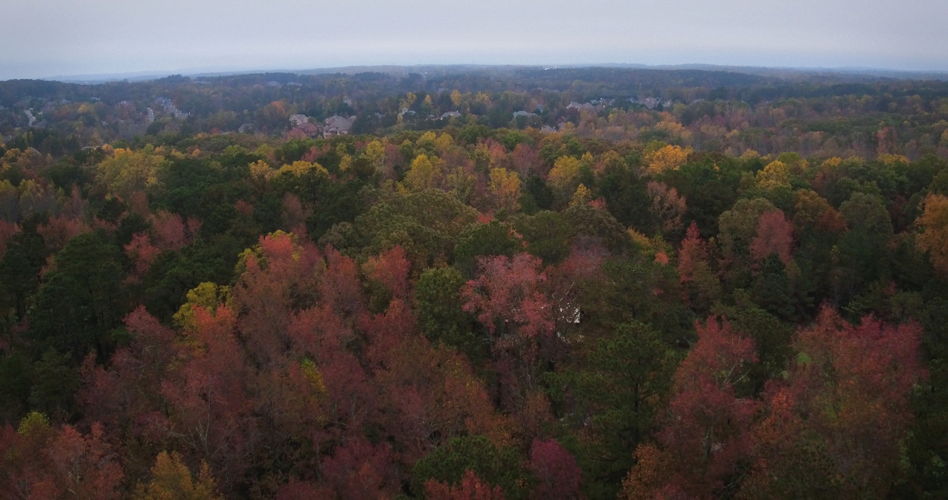 Blue Ridge, Georgia