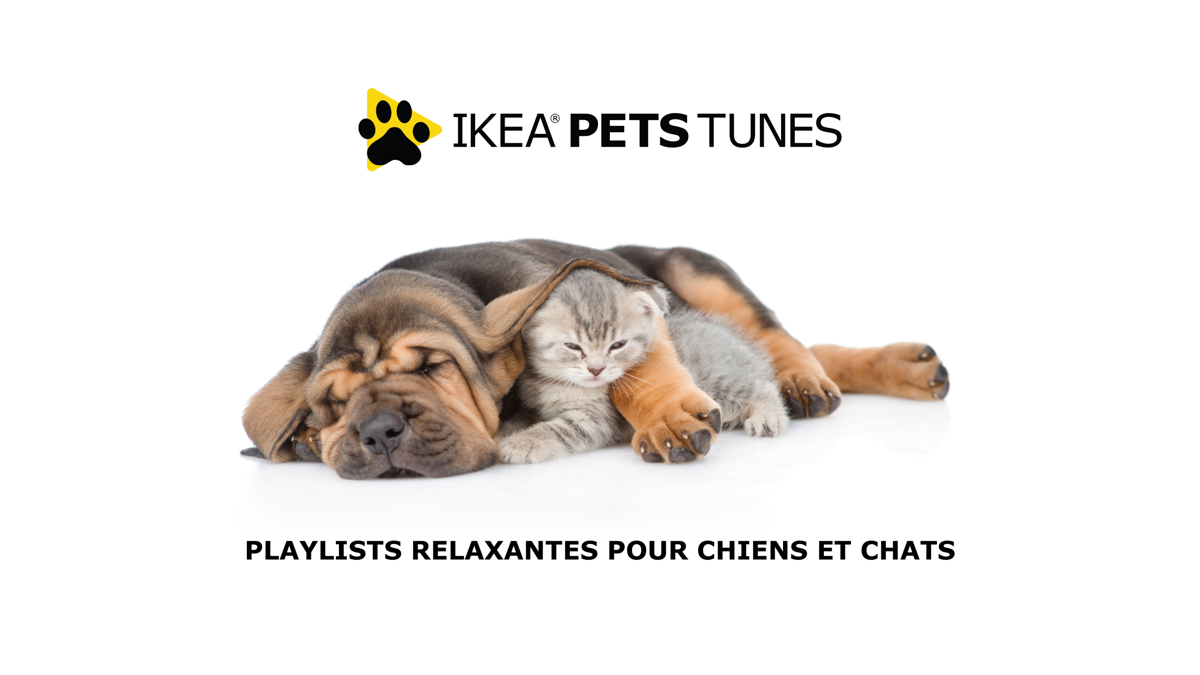 IKEA, lurvig, pets, animals, pets tunes radio, dog radio, cat radio, zen, calming tunes, 2019