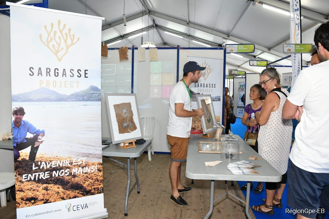 Stand featuring the treatment and transformation of sargassum in paper at SARG'EXPO