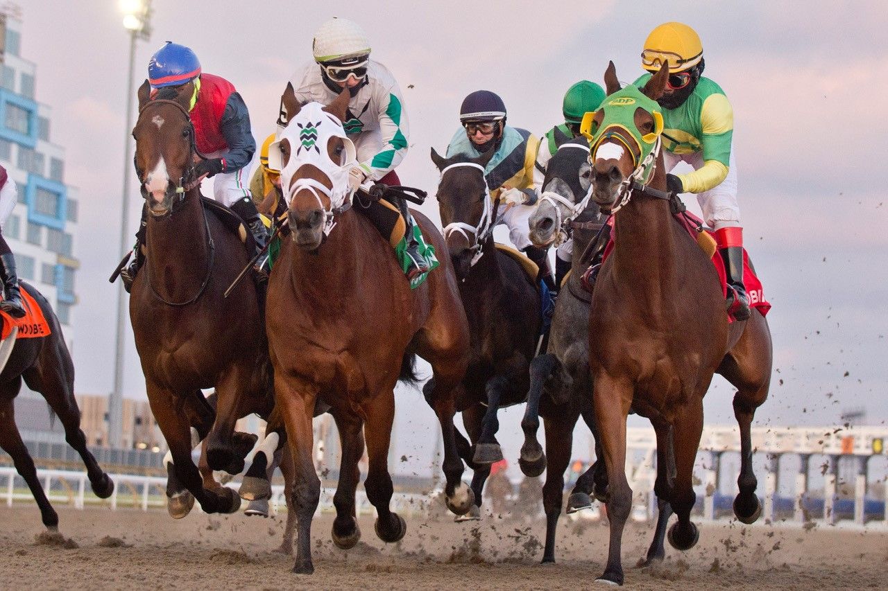 Strega and jockey Kazushi Kimura winning the Ashbridges Bay Stakes on Friday at Woodbine (Michael Burns Photo)
