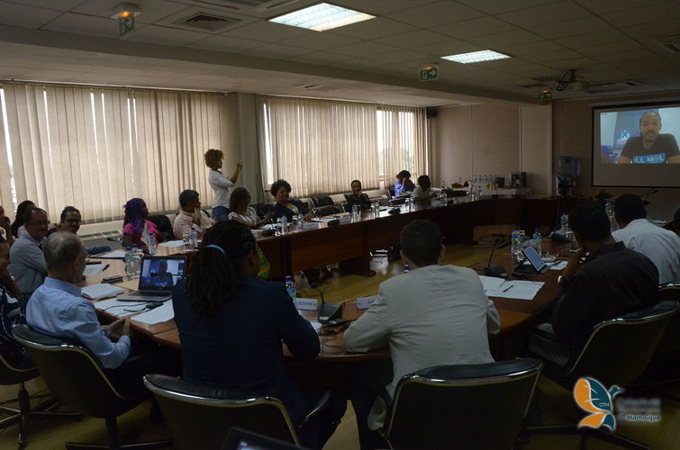 30 Under 30 virtual ceremony in Martinique. © Collectivity of Martinique.