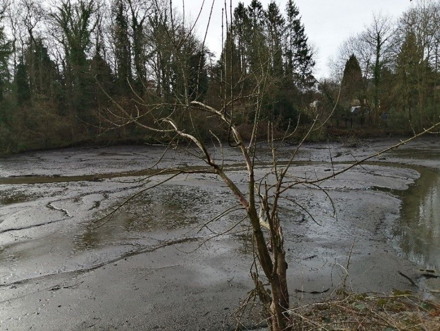 In november 2023 werd de vijver drooggezet om het aanwezige slib te laten drogen.