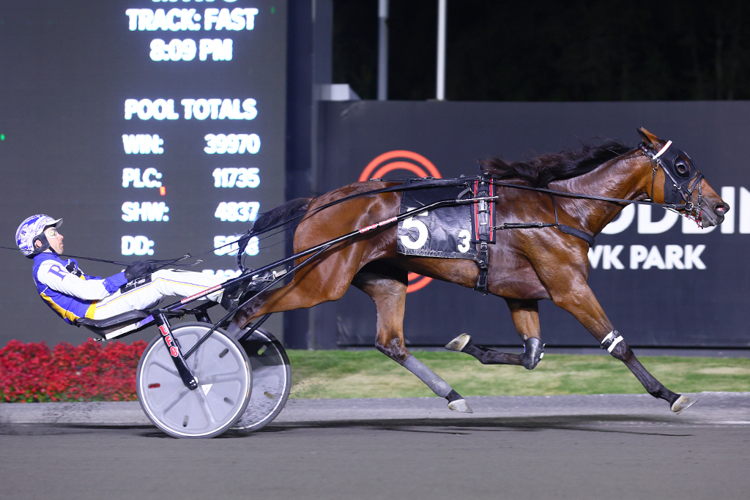 Emoji Hanover and driver Louis-Phillippe Roy winning the second Elegantimage elimination on September 14, 2024 at Woodbine Mohawk Park (New Image Media) Emoji Hanover and driver Louis-Phillippe Roy winning the second Elegantimage elimination on September 14, 2024 at Woodbine Mohawk Park (New Image Media)