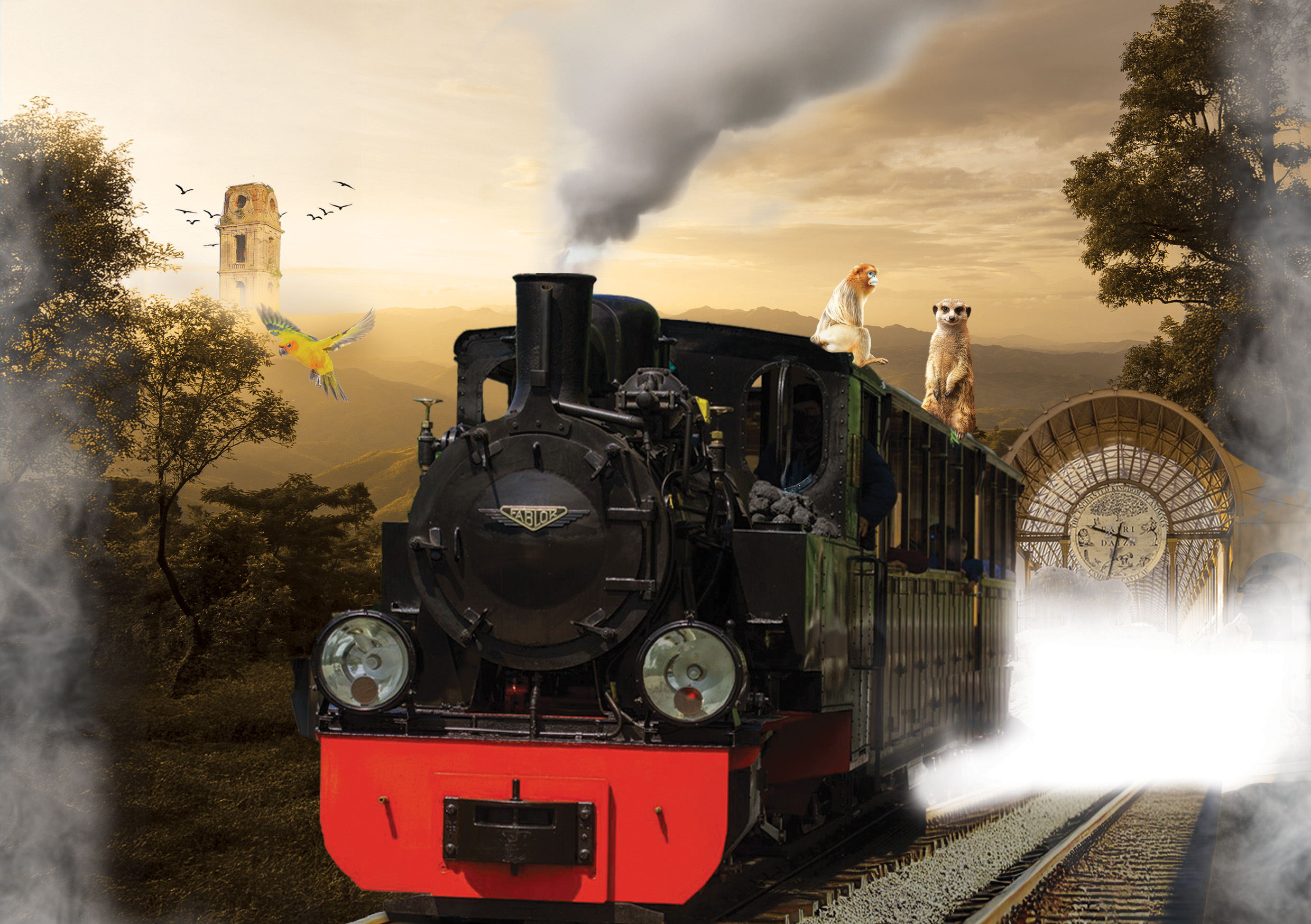 Invitation September 12: 10 years of the steam train in Pairi Daiza starting at 10 a.m