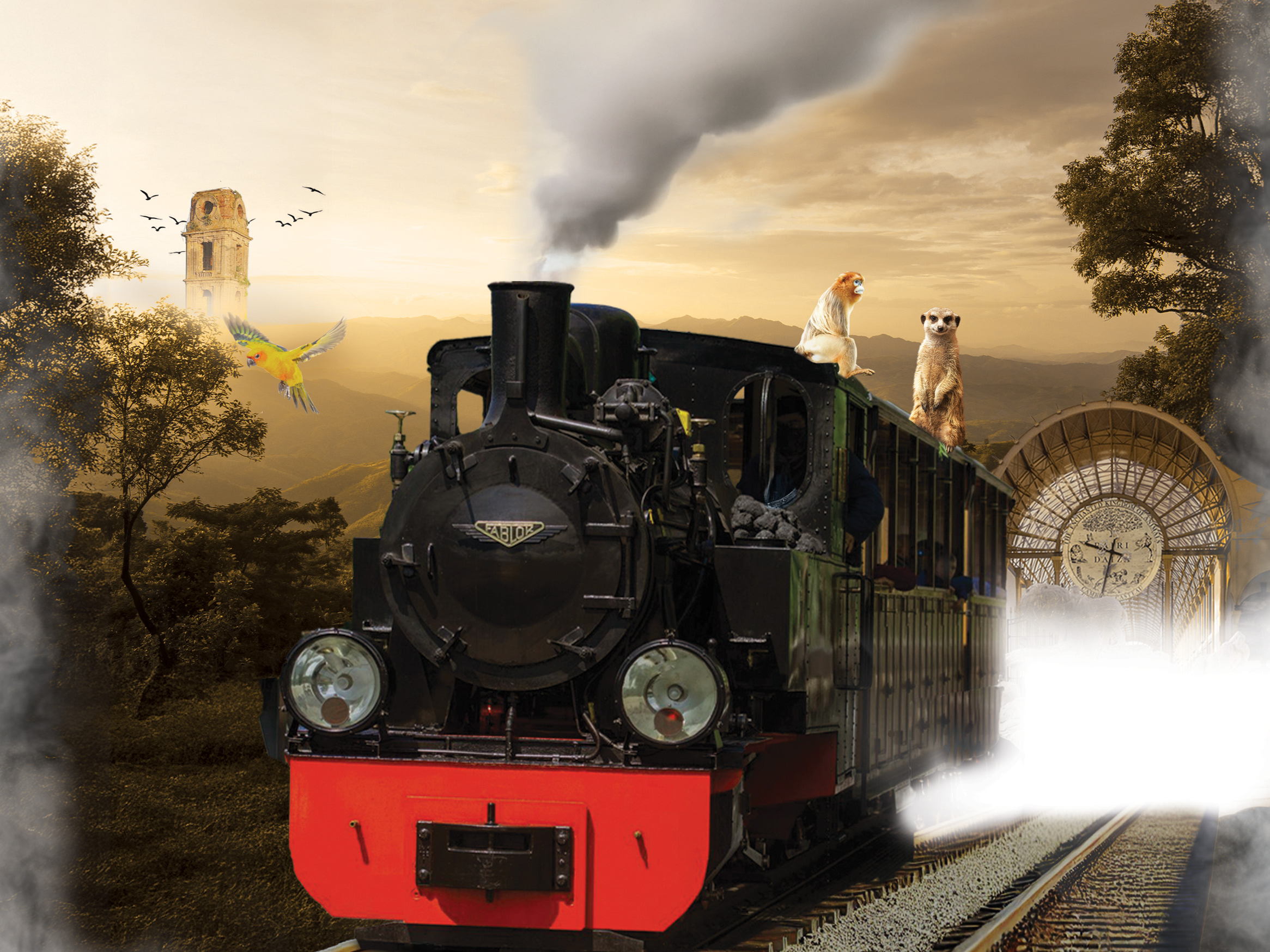 Invitation September 12: 10 years of the steam train in Pairi Daiza starting at 10 a.m