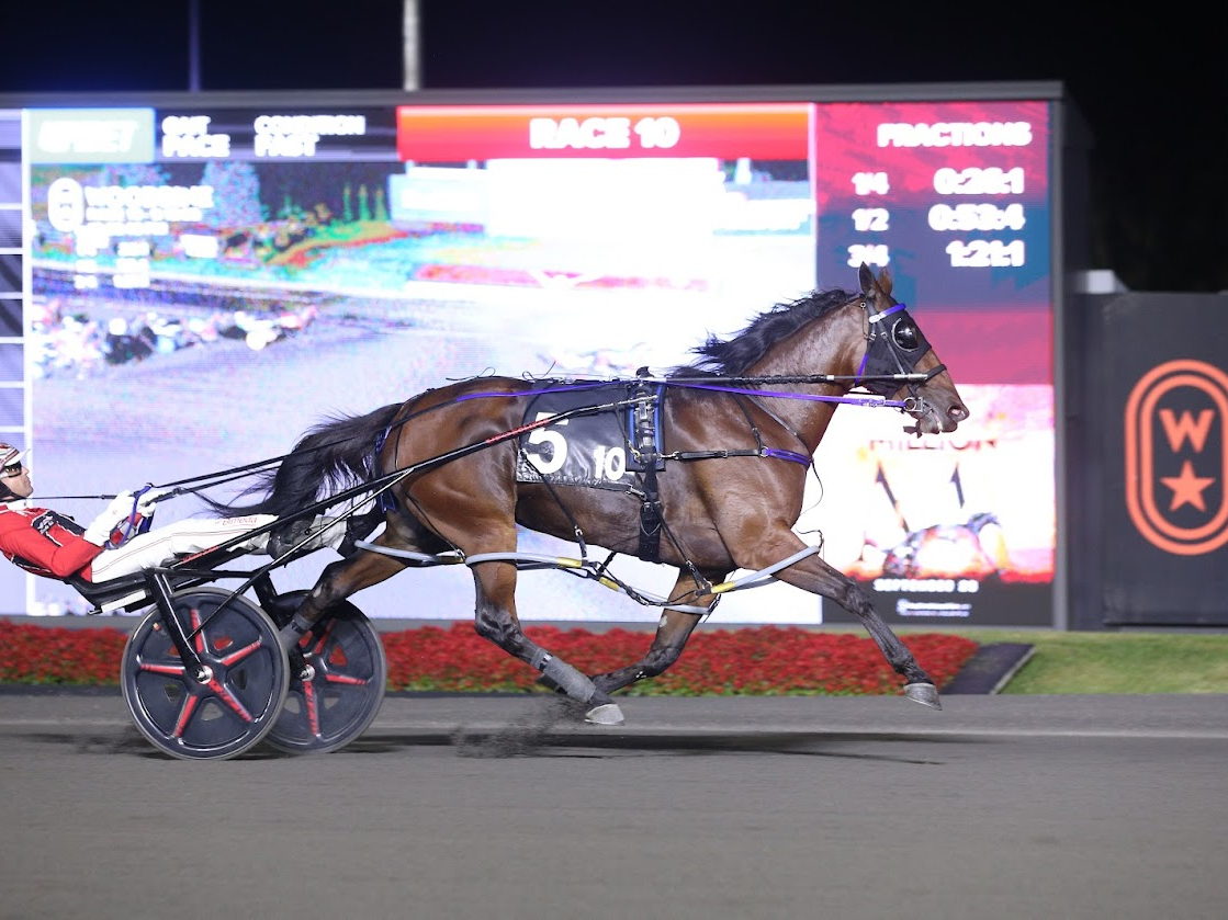 Twin B Joe Fresh Reclaims Crown with Stakes Record in Milton