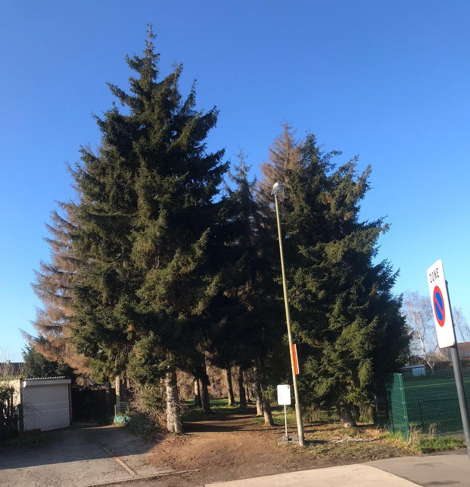 Désiré Mellaertsstraat