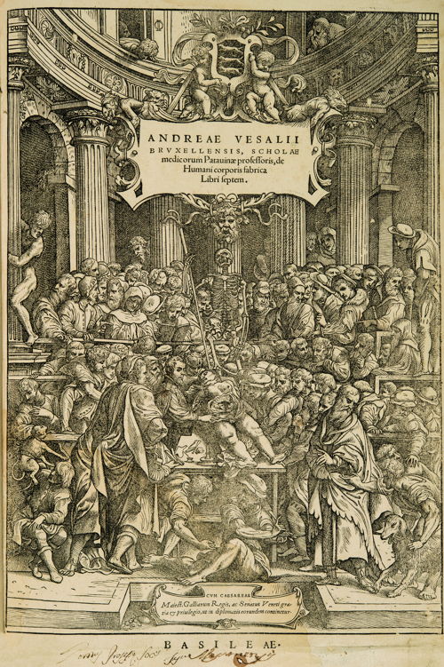 Frontispice de: André Vésale, De Humani Corporis Fabrica Libri Septem, Bâle, 1543 © KU Leuven, Bibliothèque universitaire, inv. CaaC17 – Bruno Vandermeulen.