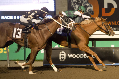 Preview: Race 7 & 8 cancelled at Woodbine