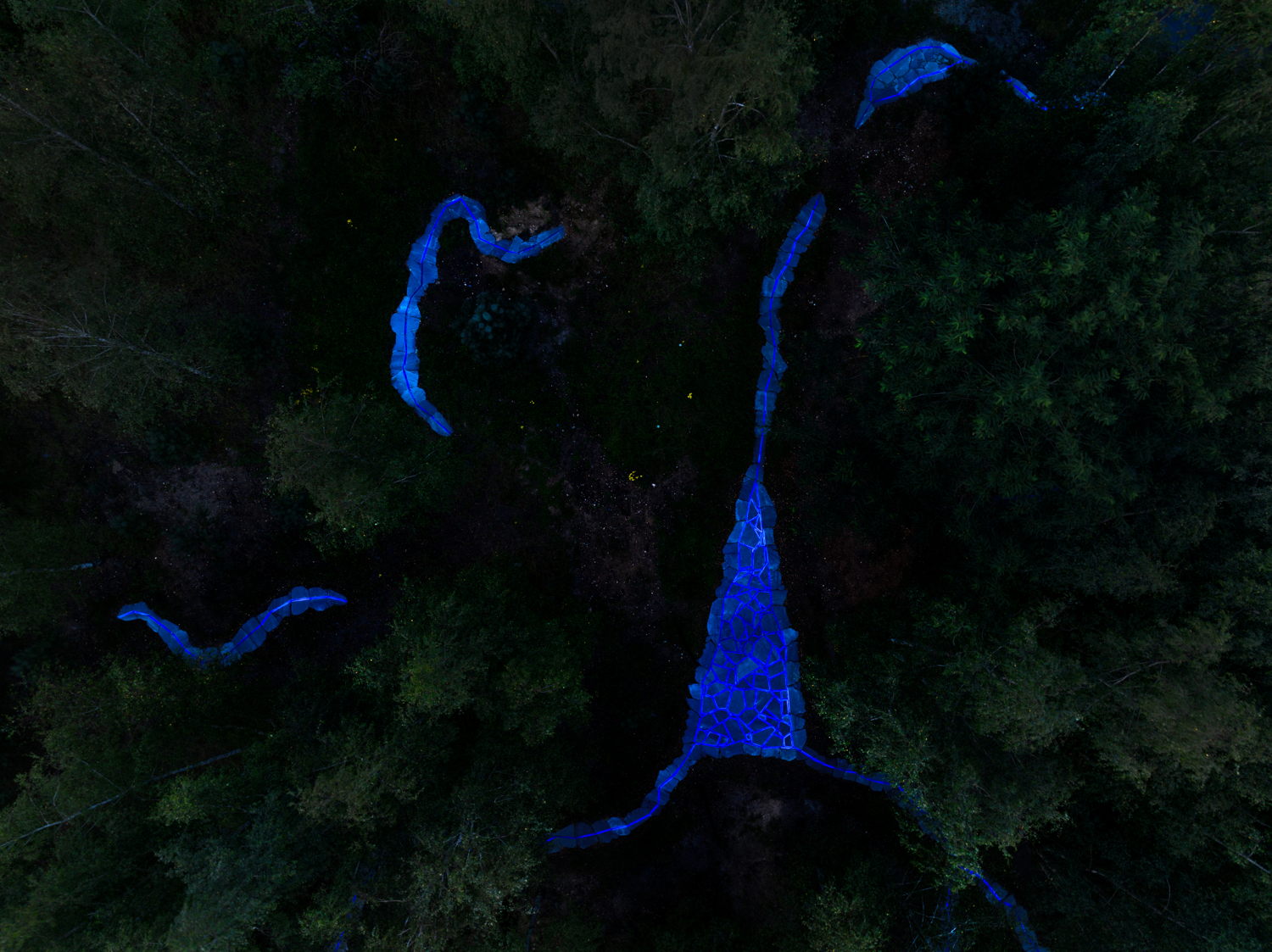 8LichtsporenRoosegaarde