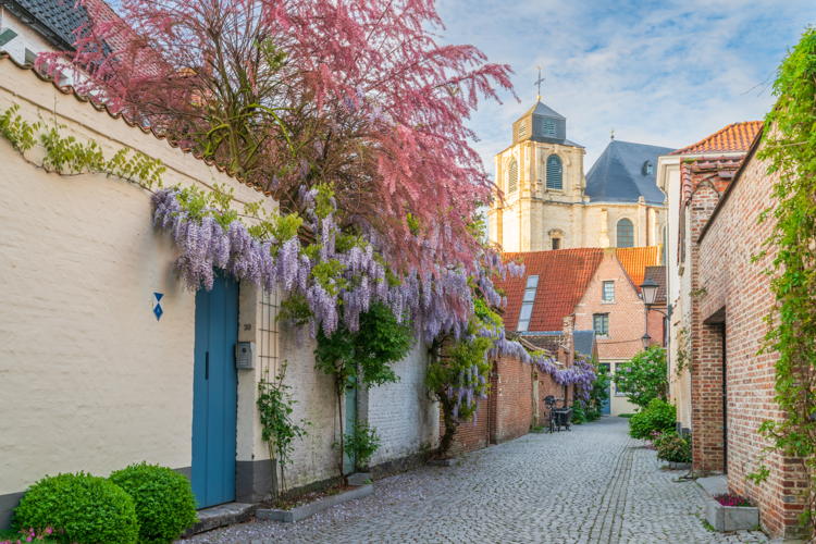 (c) Visit Mechelen