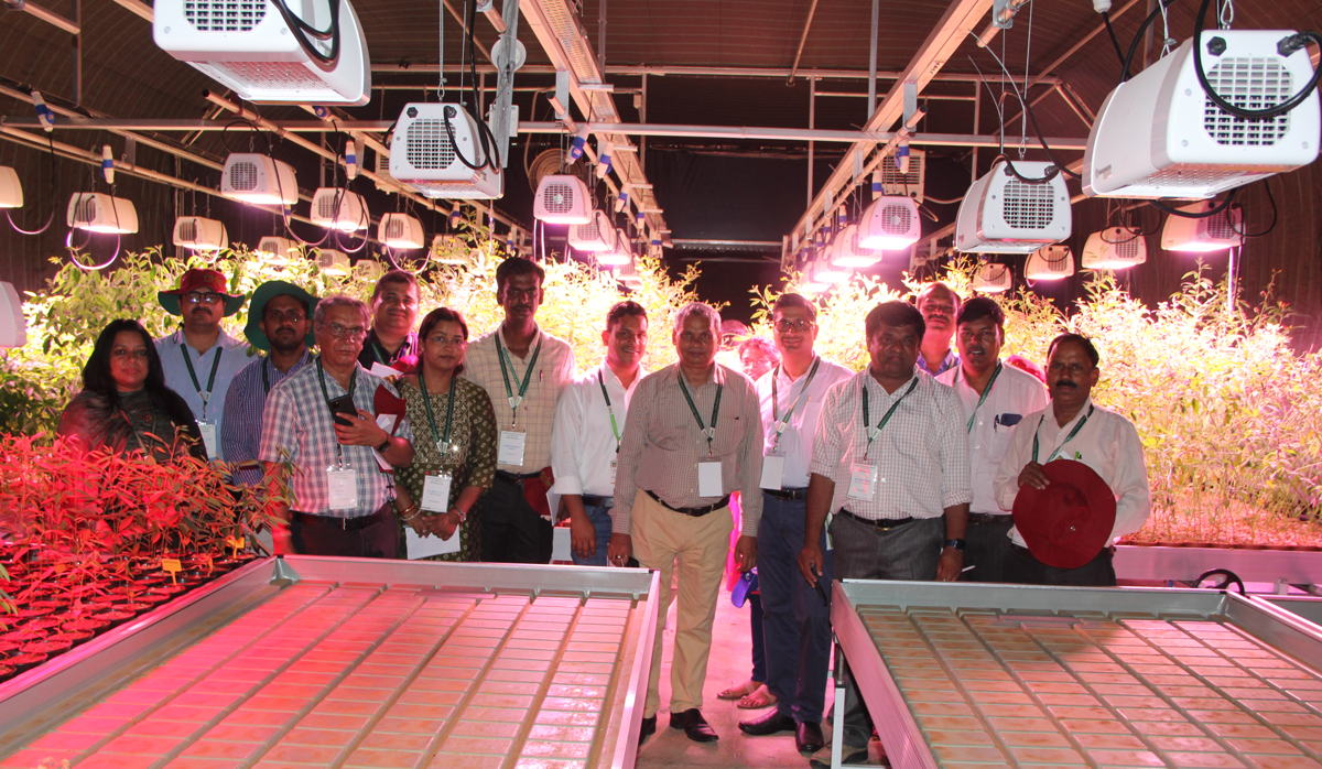 The speed breeding facility at ICRISAT.