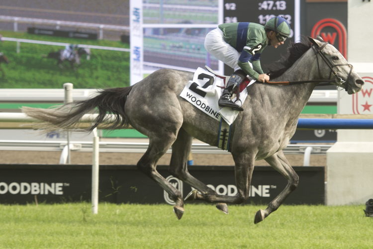 Implicated and Jockey Declan Cannon winning the Nassau Stakes (G2) on June 29, 2024 at Woodbine (Michael Burns Photo)
