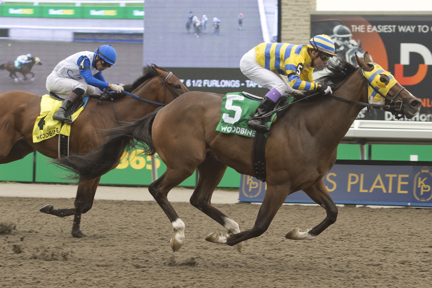 Patches O’Houlihan and jockey Daisuke Fukumoto winning the Bold Venture Stakes on August 20, 2023 at Woodbine (Michael Burns Photo)