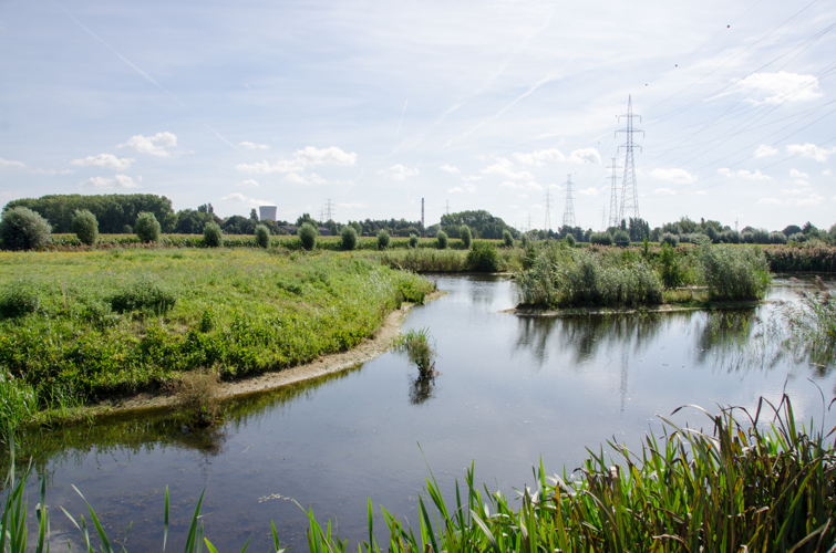 Extra groenbuffer in koppelingsgebied Doornzele-Noord