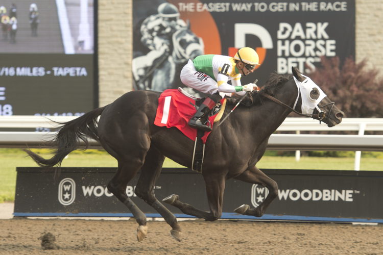 Simcoe and jockey Rafael Hernandez winning Race 9 on June 4, 2023 at Woodbine (Michael Burns Photo) 