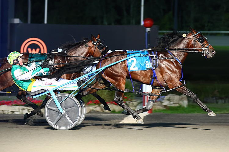 Stockade Seelster winning the 2022 Metro Pace. (New Image Media)