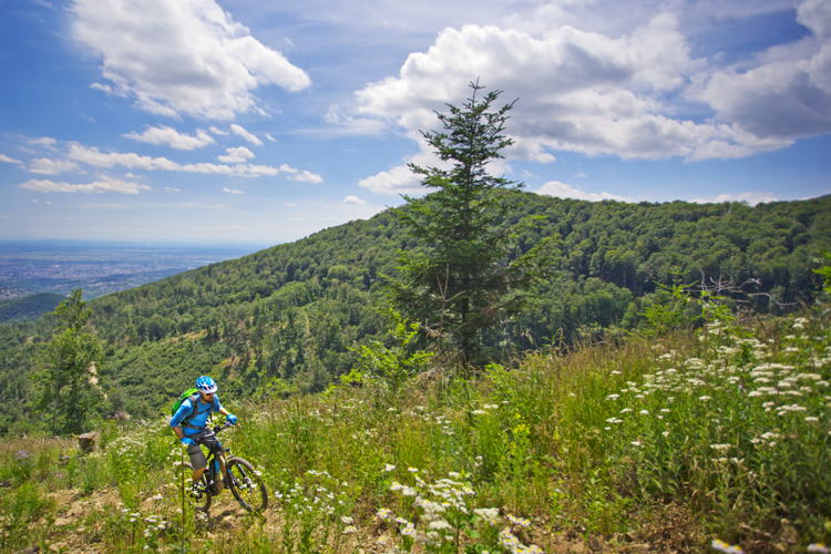 medvednica-cycling-optimized-for-print-josko-fabris