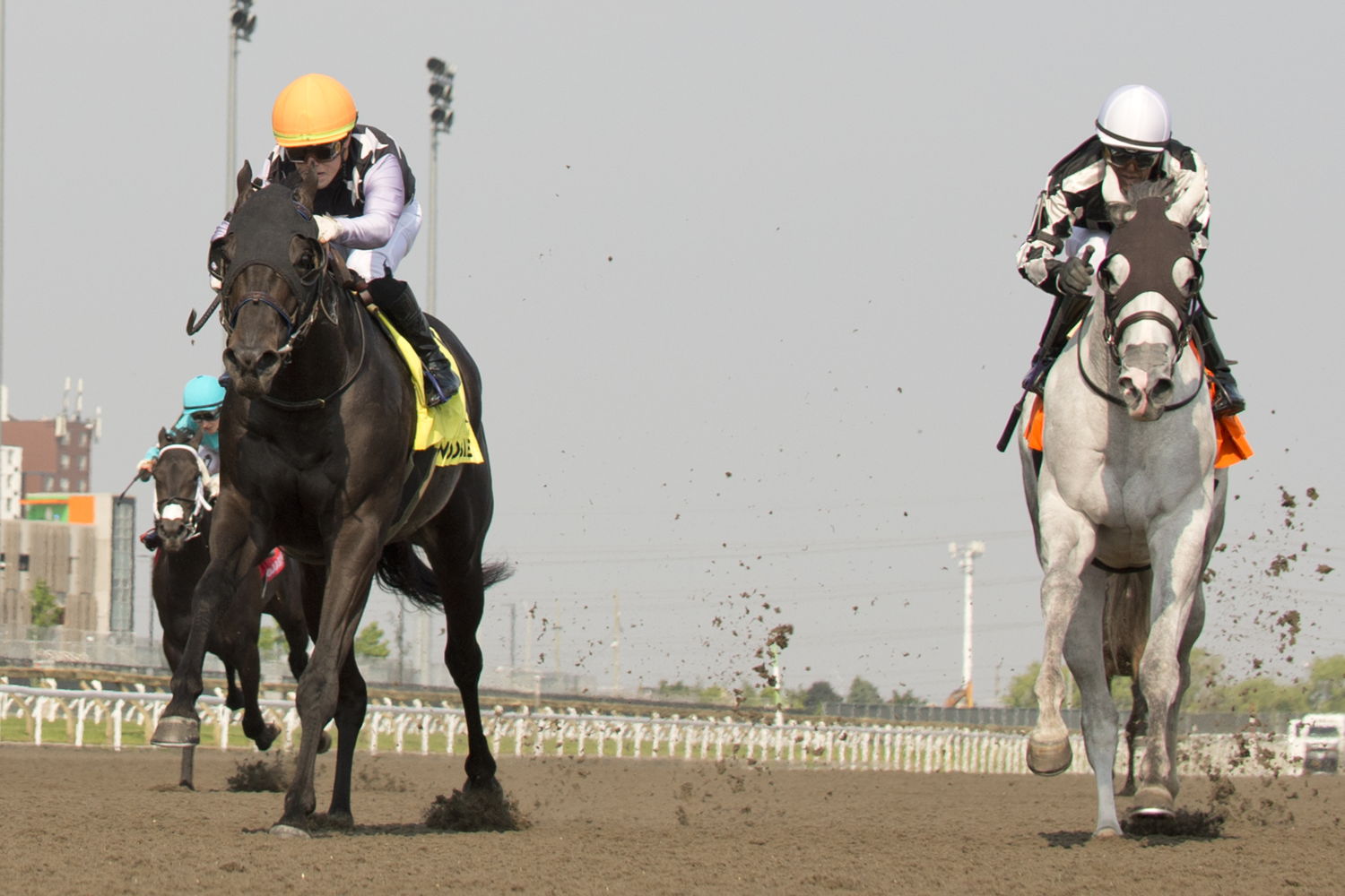Notorious Gangster and jockey Fraser Aebly winning the Queenston Stakes on June 8, 2025 at Woodbine (Michael Burns Photo)
