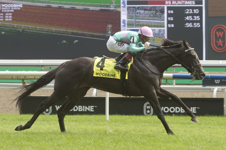Olivia Rose and jockey Rafael Hernandez winning the Thunder Bay Stakes on August 4, 2024 at Woodbine (Michael Burns Photo)