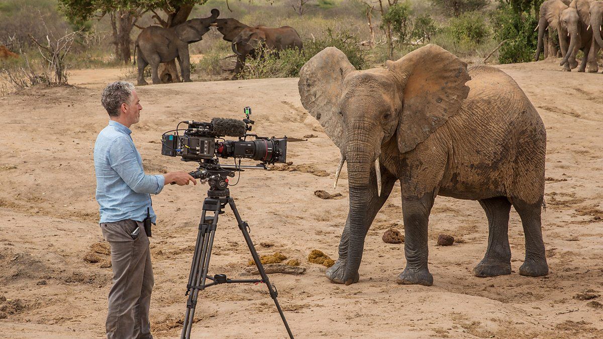 Elephant Family & Me - (c) BBC