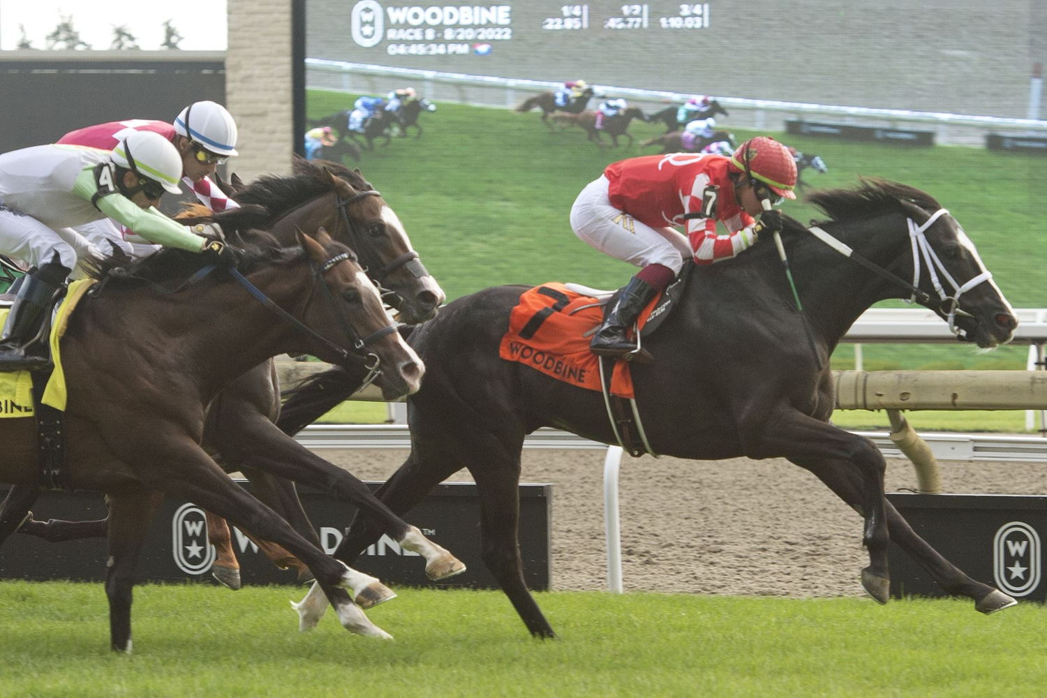 Philip My Dear and jockey Kazushi Kimura winning the Soaring Free Stakes on August 20th 2022 at Woodbine. (Michael Burns Photo)