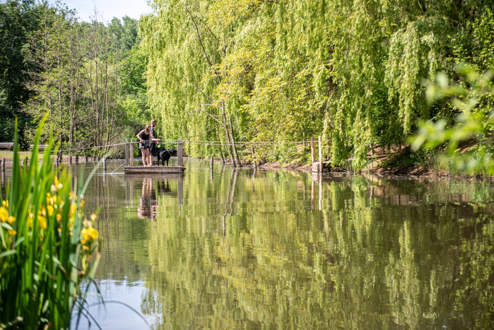 trekveer landschapspark