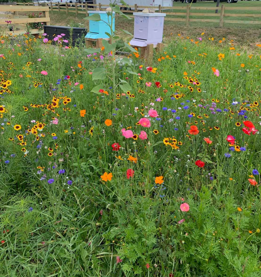 GROWMARK System Offering Pollinator Garden Program