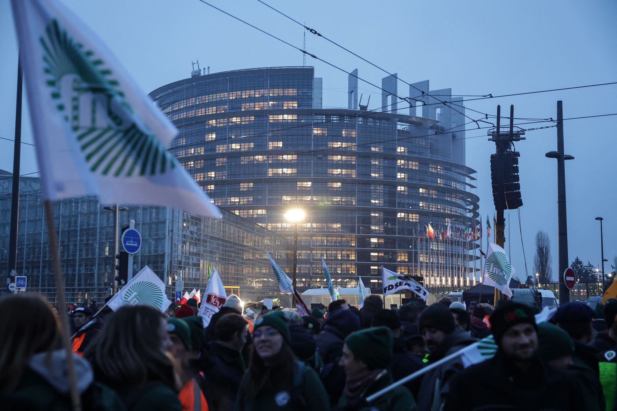 Mercosur trade deal delayed as European Parliament sends agreement to EU court