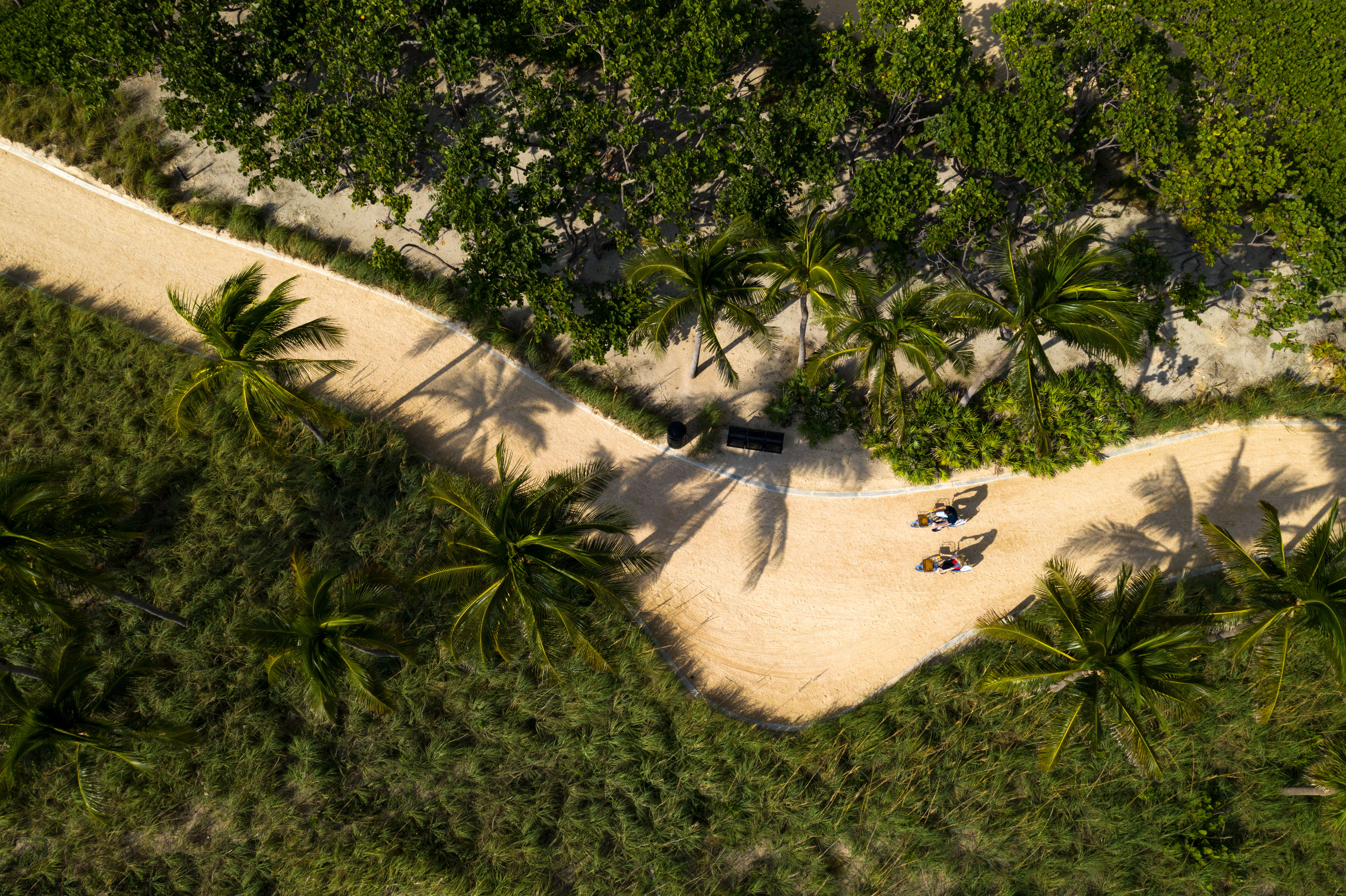 Bal Harbour Beach Path