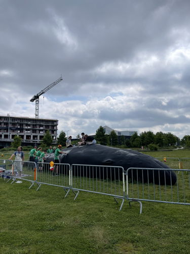 (C)IOBZ EVH Wij Zjn De Walvis Kortrijk 34 (C)IOBZ EVH Wij Zjn De Walvis Kortrijk 34
